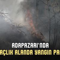 Asayiş