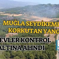 Genel