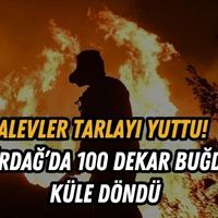 Asayiş