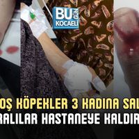 Asayiş
