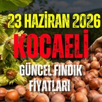 Kocaeli