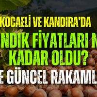 Kocaeli