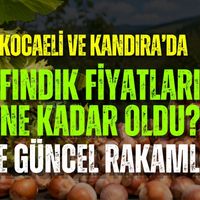 Kocaeli