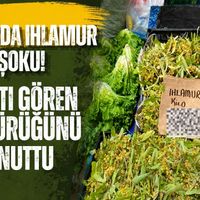 İzmit