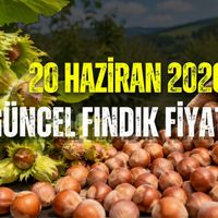 Kandıra
