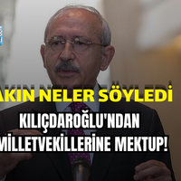 Siyaset