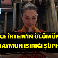 Magazin