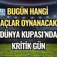Spor