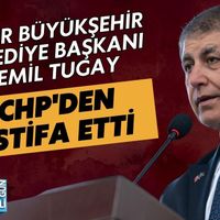 Siyaset