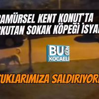 Karamürsel