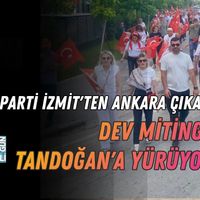 Siyaset