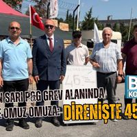 Genel