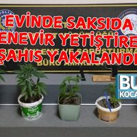 Asayiş