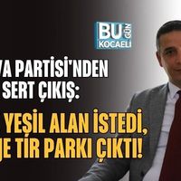 Siyaset