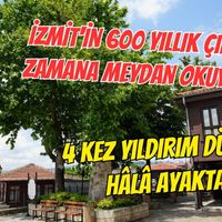 Kocaeli