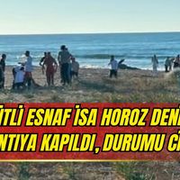 Asayiş