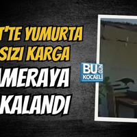 Kocaeli