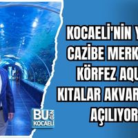 Kocaeli