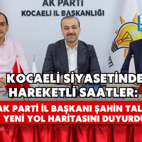 Siyaset