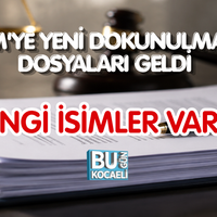 Siyaset