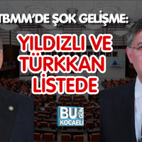 Siyaset