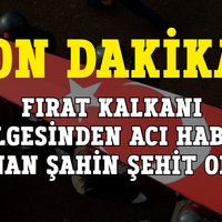 Genel