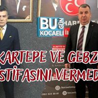 Siyaset