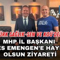 Siyaset