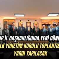Siyaset