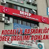Siyaset