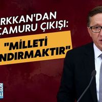 Siyaset
