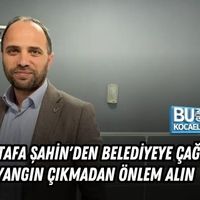 Siyaset