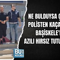Asayiş