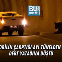 Asayiş