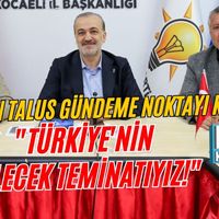 Siyaset