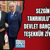 Siyaset