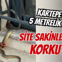 Kartepe