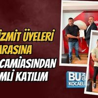 Siyaset