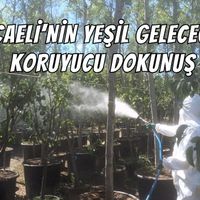 Kocaeli