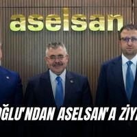 Siyaset