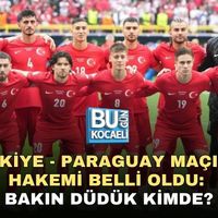 Spor