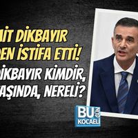 Siyaset