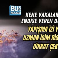 Sağlık