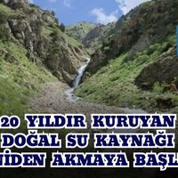 Yaşam