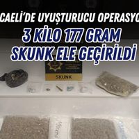 Asayiş