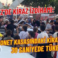 Körfez