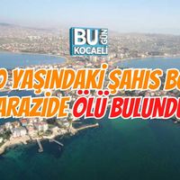 Asayiş