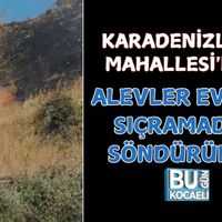 Kocaeli