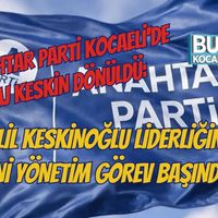 Siyaset