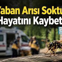 Diğer